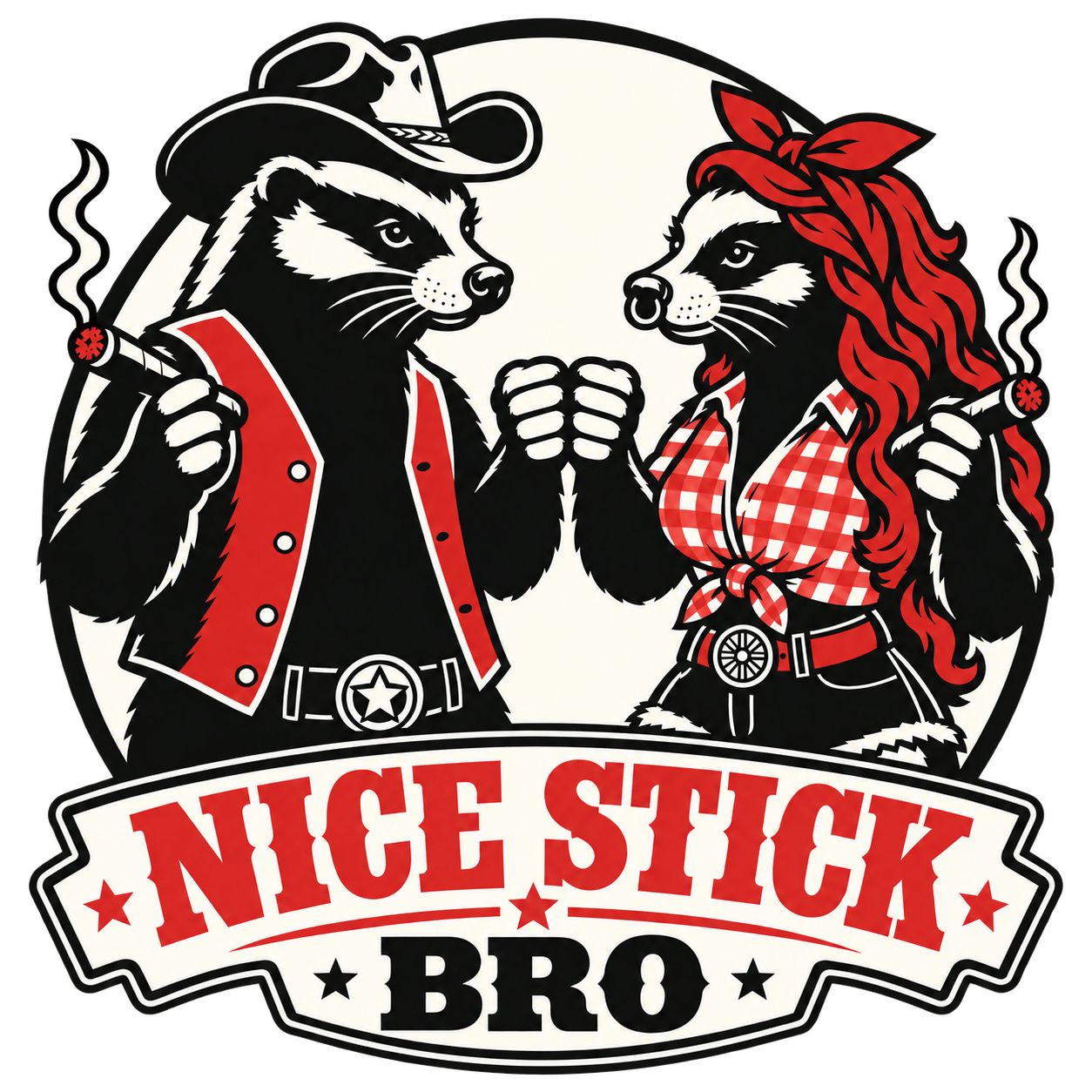 Nice Stick Bro - Badgers Shirt - 3 Color Design